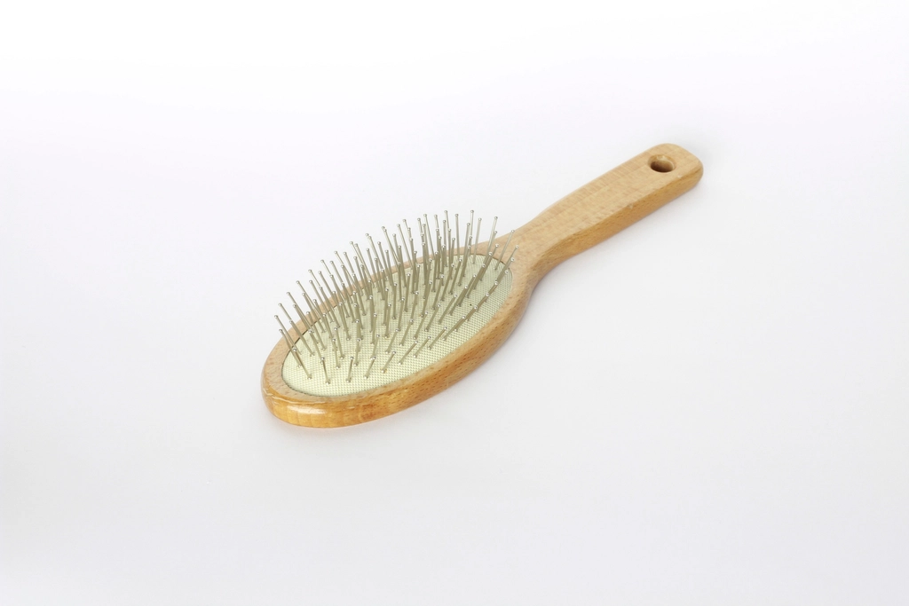 Hairbrush, representing an online hair loss treatment review